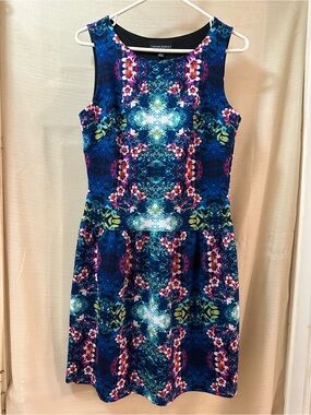 Cynthia Rowley Blue Floral Fit & Flare Sleeveless Dress Size 10 Stretch